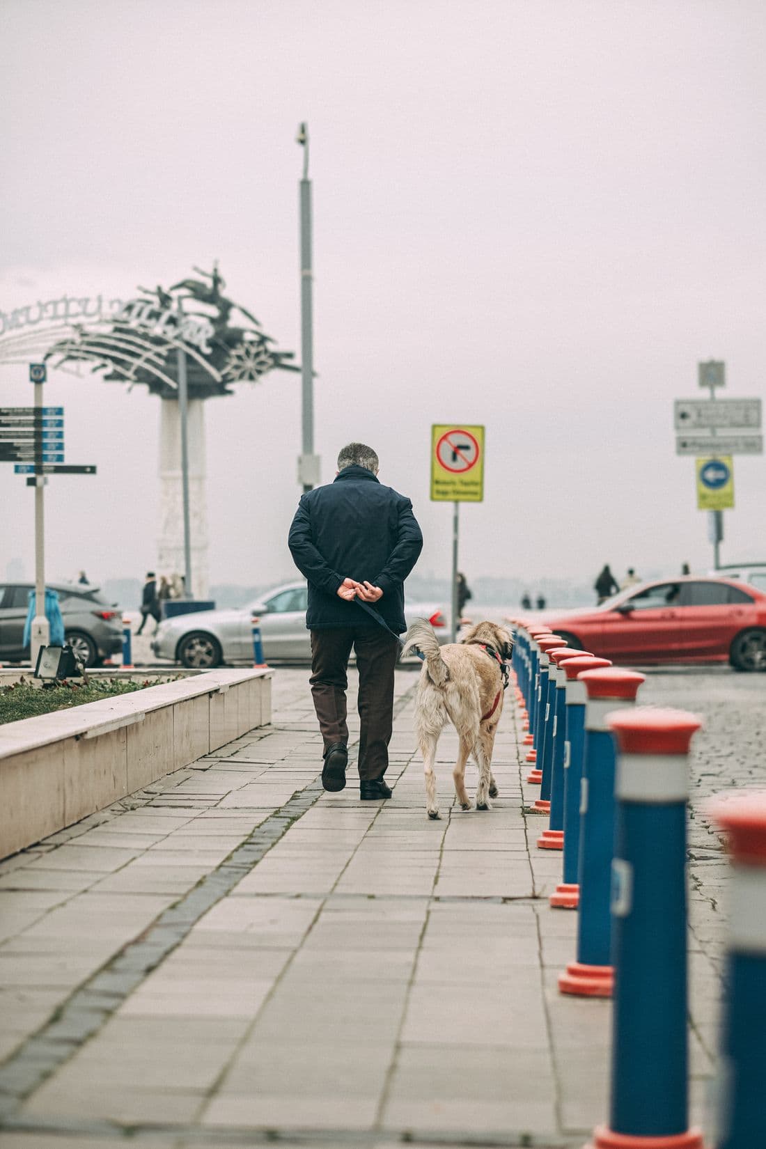 An older adult walking a large dog along a city sidewalk.